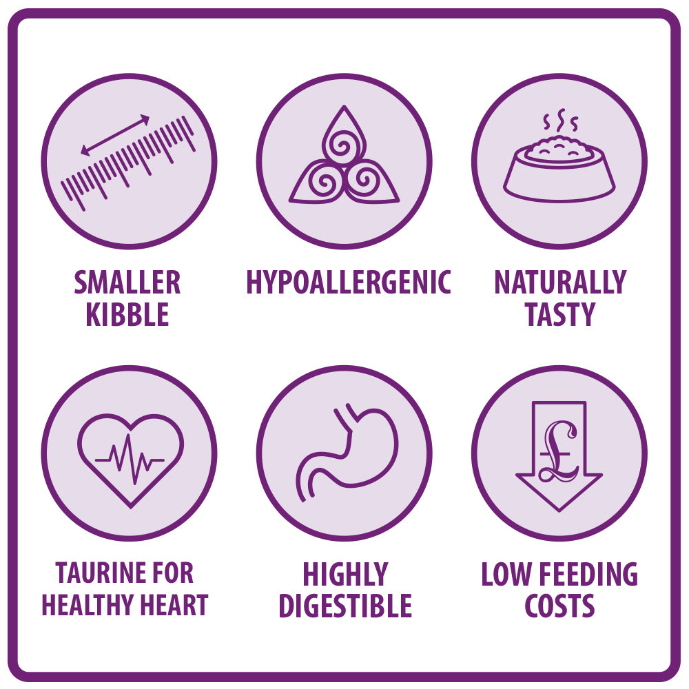 Original Chicken & Brown Rice Cat Food Burns Pet Nutrition