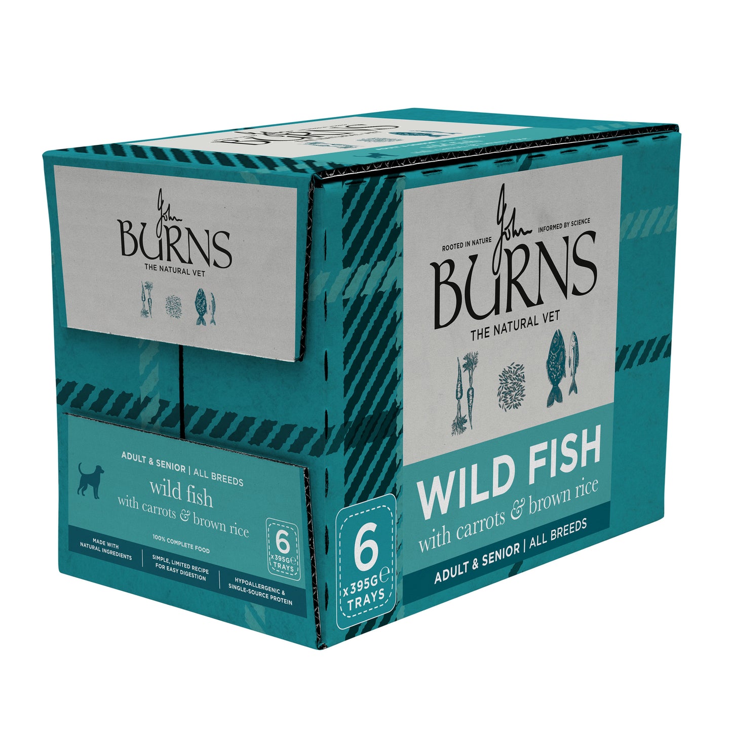 Wild Fish, Carrots & Brown Rice Wet Dog Food Burns Pet Nutrition