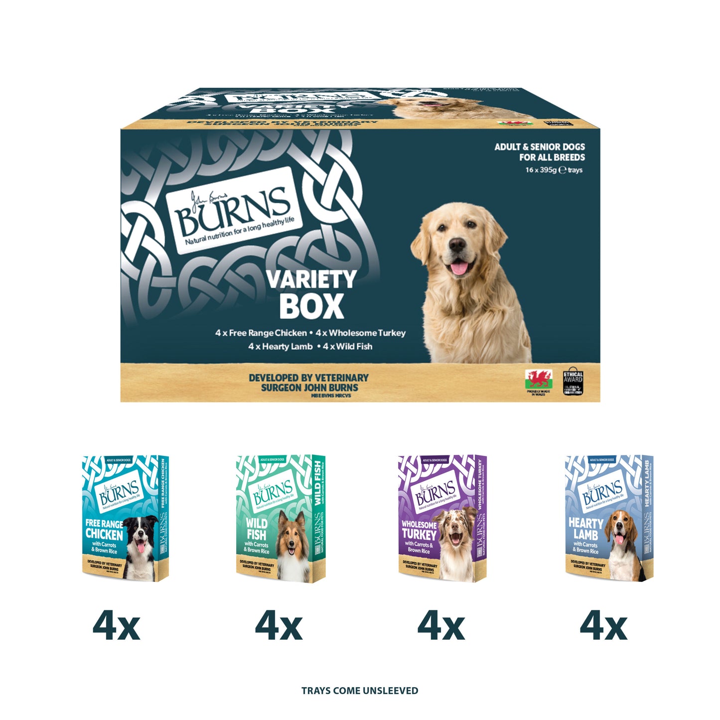 Chicken, Fish, Lamb & Turkey Wet Dog Food Variety Box Burns Pet Nutrition