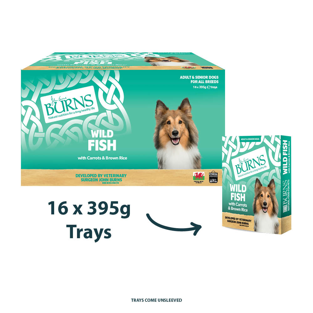 Wild Fish, Carrots & Brown Rice Wet Dog Food Burns Pet Nutrition
