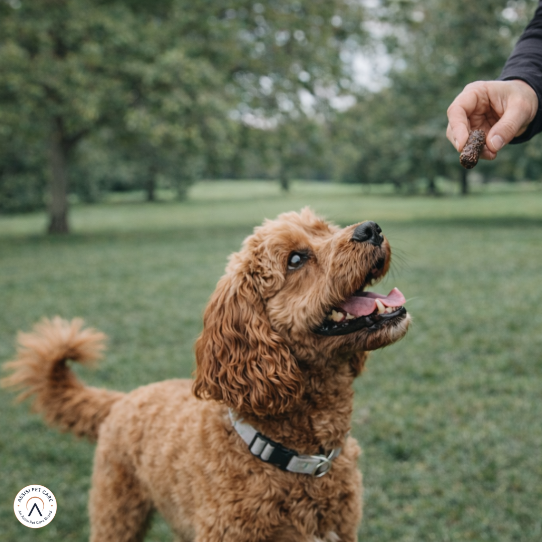 Hollings Beef & Wild Boar Bite-Size Gourmet Sausages Hollings