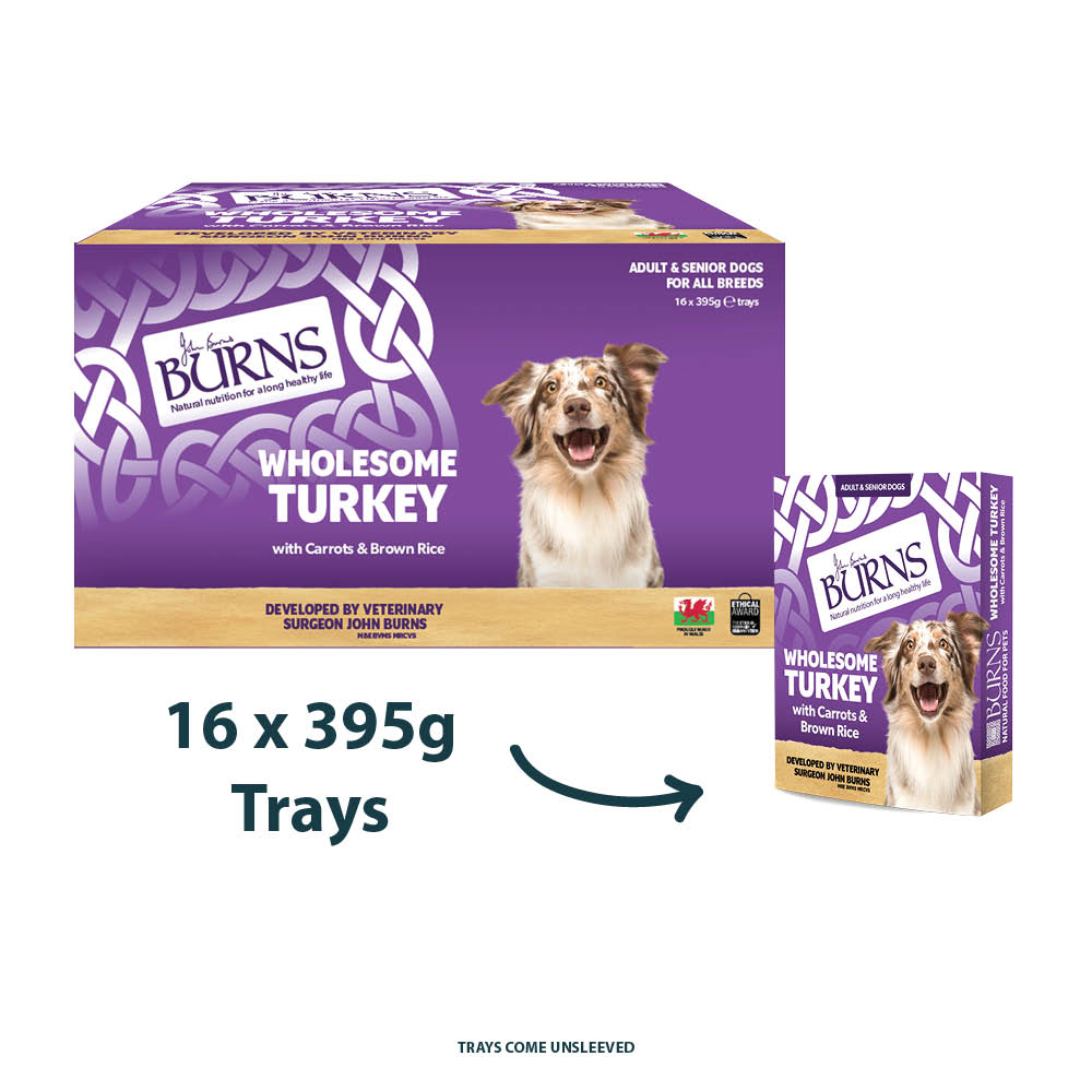 Wholesome Turkey with Carrots & Brown Rice Wet Dog Food Burns Pet Nutrition