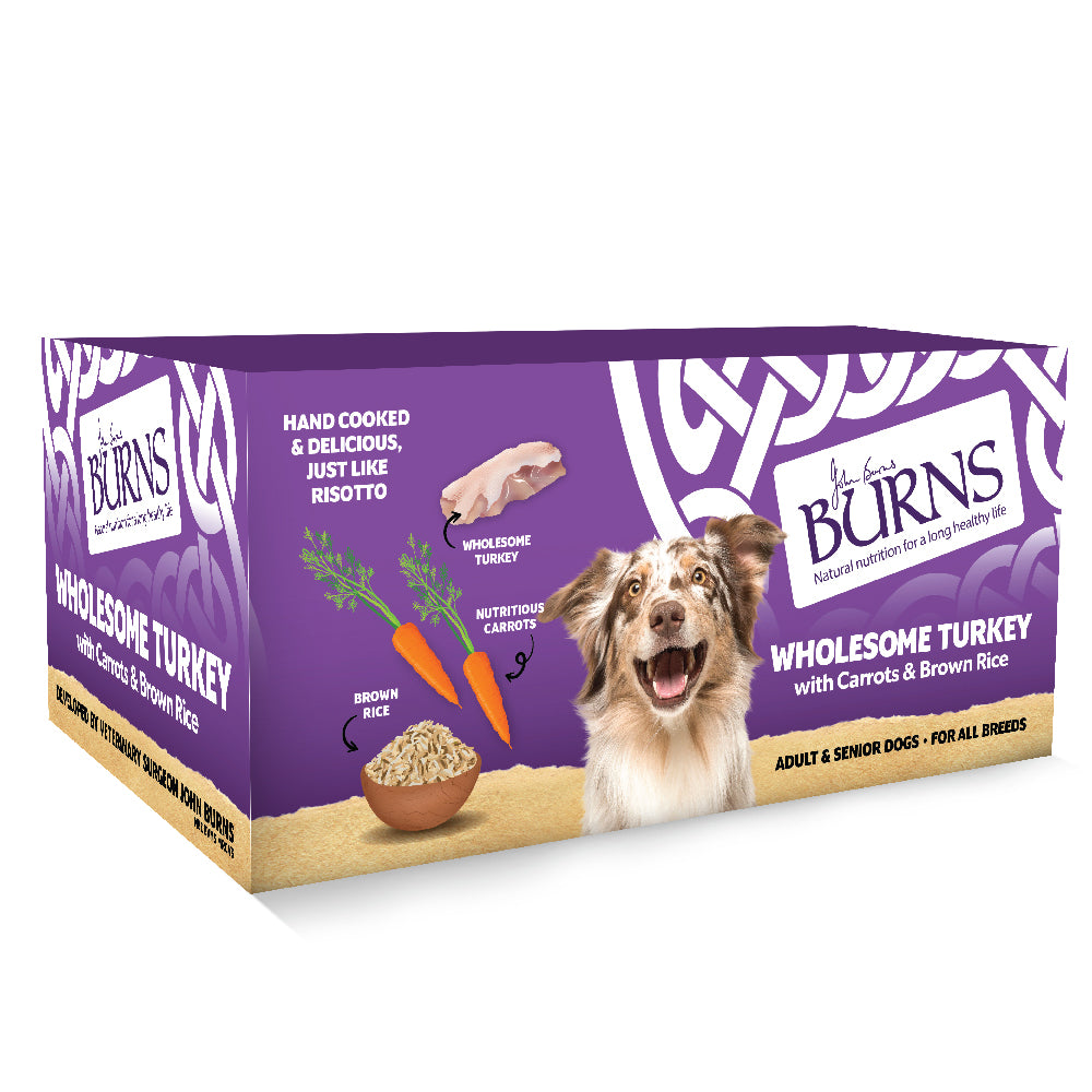 Wholesome Turkey with Carrots & Brown Rice Wet Dog Food Burns Pet Nutrition
