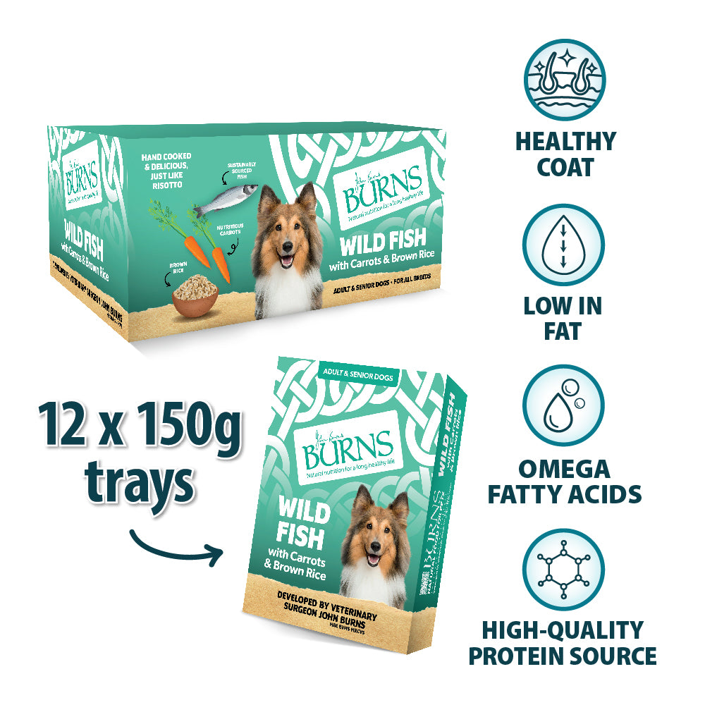 Wild Fish, Carrots & Brown Rice Wet Dog Food Burns Pet Nutrition