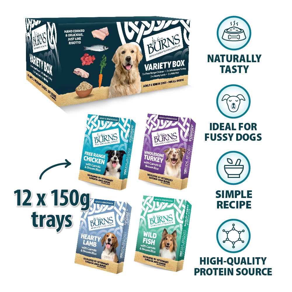 Chicken, Fish, Lamb & Turkey Wet Dog Food Variety Box Burns Pet Nutrition