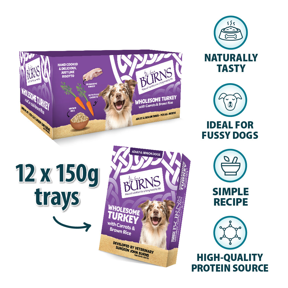 Wholesome Turkey with Carrots & Brown Rice Wet Dog Food Burns Pet Nutrition