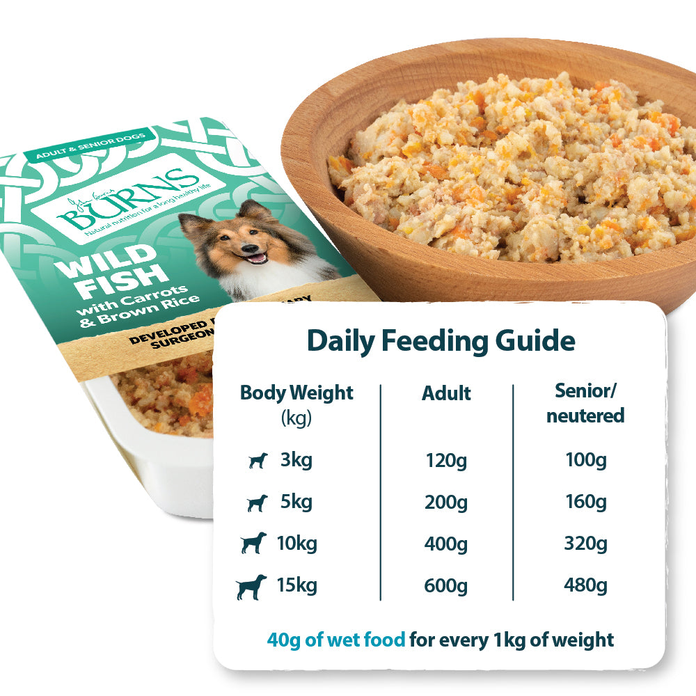 Wild Fish, Carrots & Brown Rice Wet Dog Food Burns Pet Nutrition