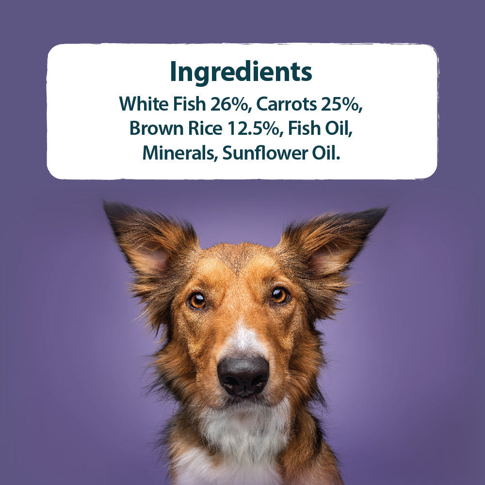 Wild Fish, Carrots & Brown Rice Wet Dog Food Burns Pet Nutrition