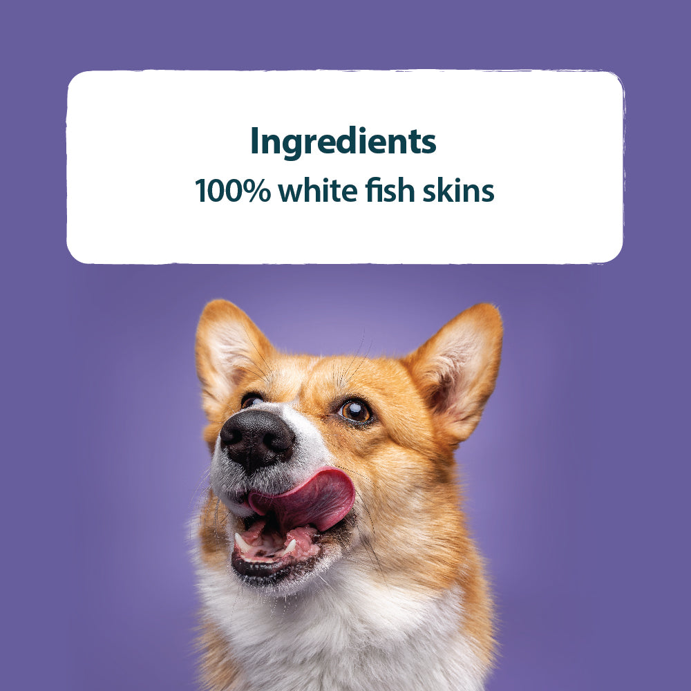 Ocean Bites With White Fish - 100g Burns Pet Nutrition
