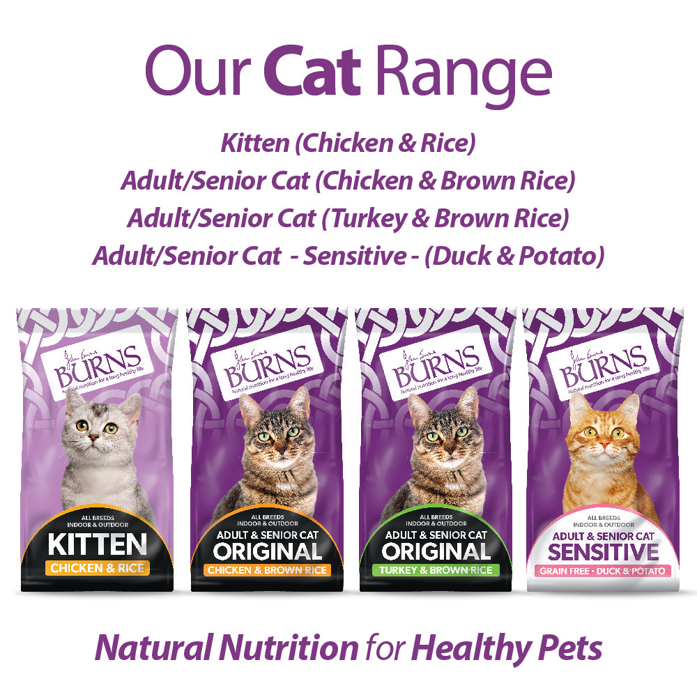 Original Chicken & Brown Rice Cat Food Burns Pet Nutrition