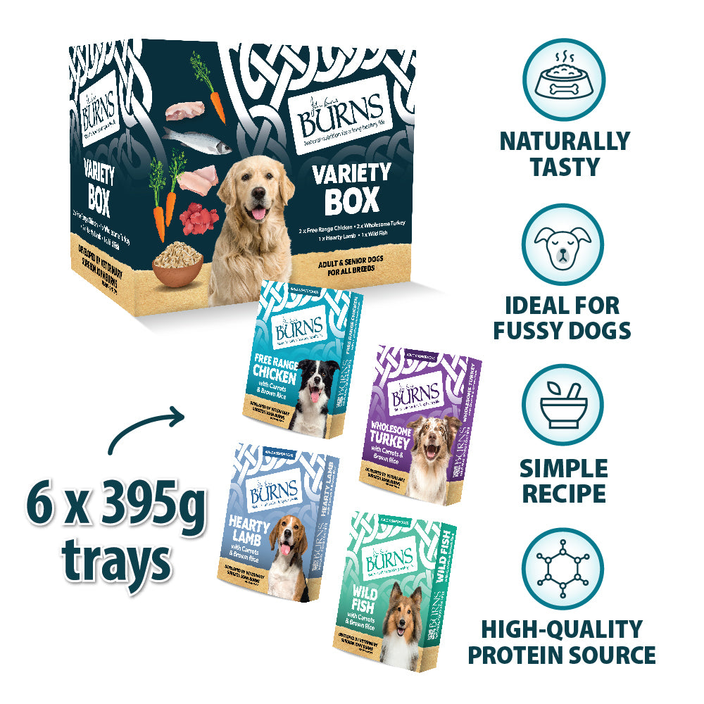 Chicken, Fish, Lamb & Turkey Wet Dog Food Variety Box Burns Pet Nutrition