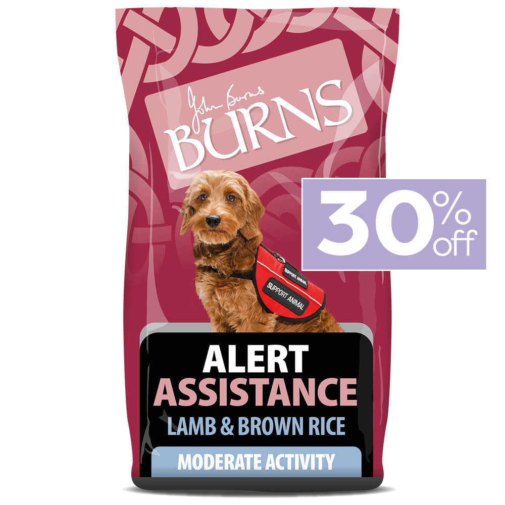 burns dog food best price