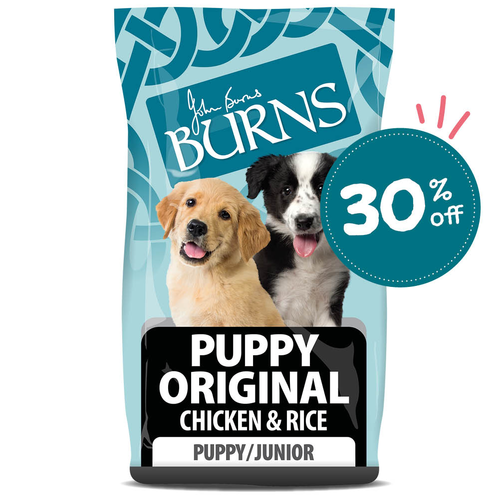 Best complete hot sale puppy food