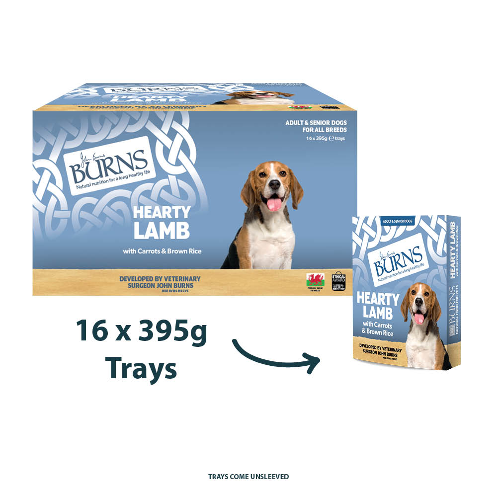 Burns Wet Food