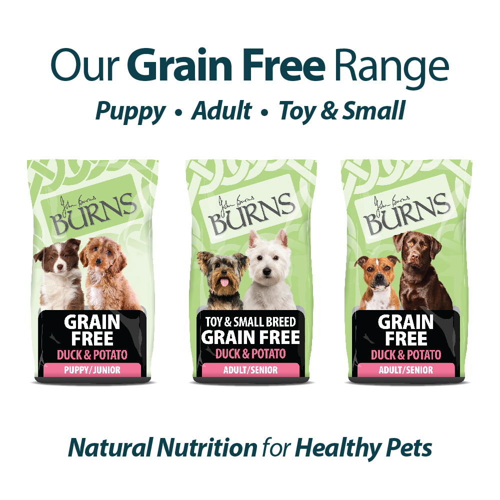Grain Free for Puppies