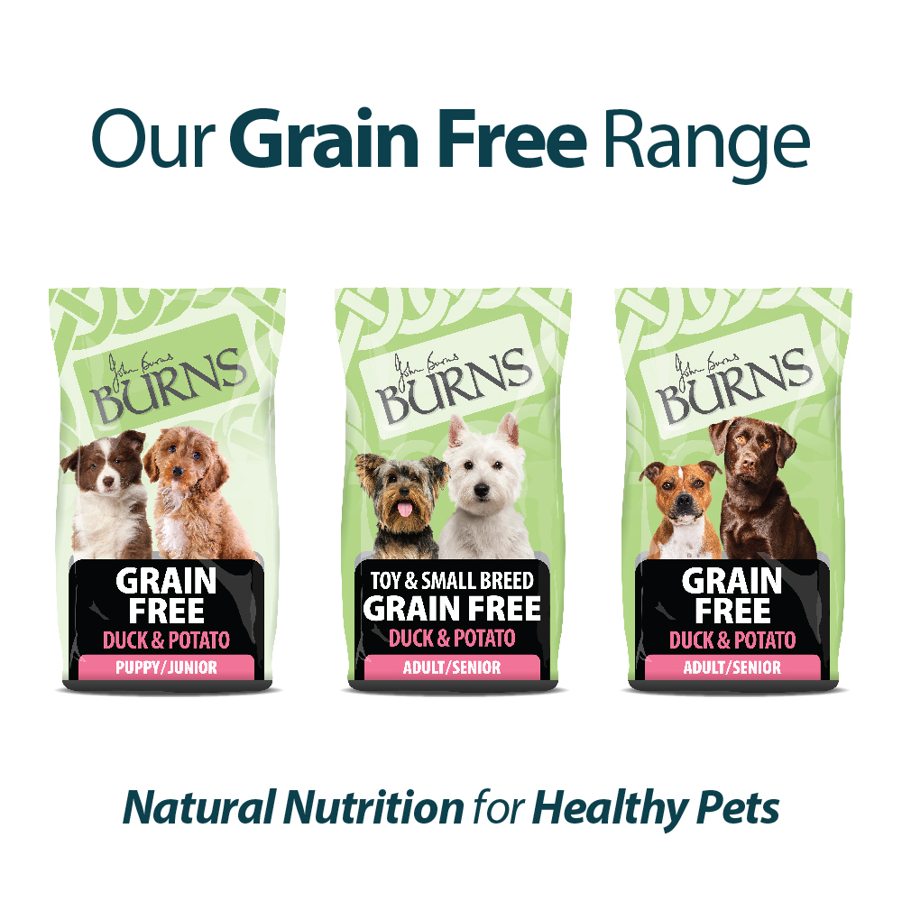 Grain Free for Adults