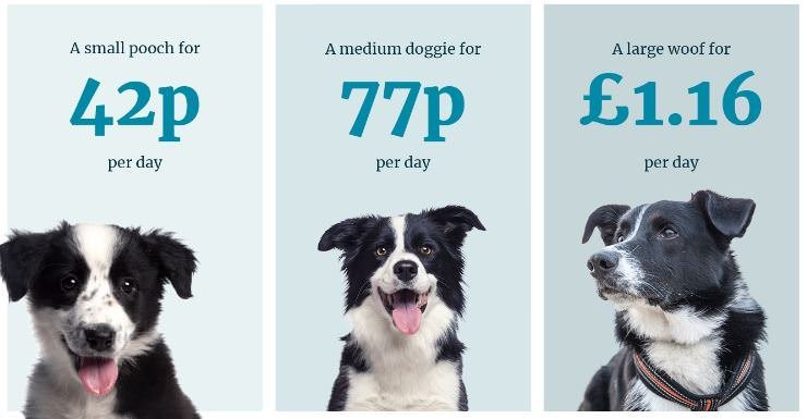 cost per feed - Burns pet food