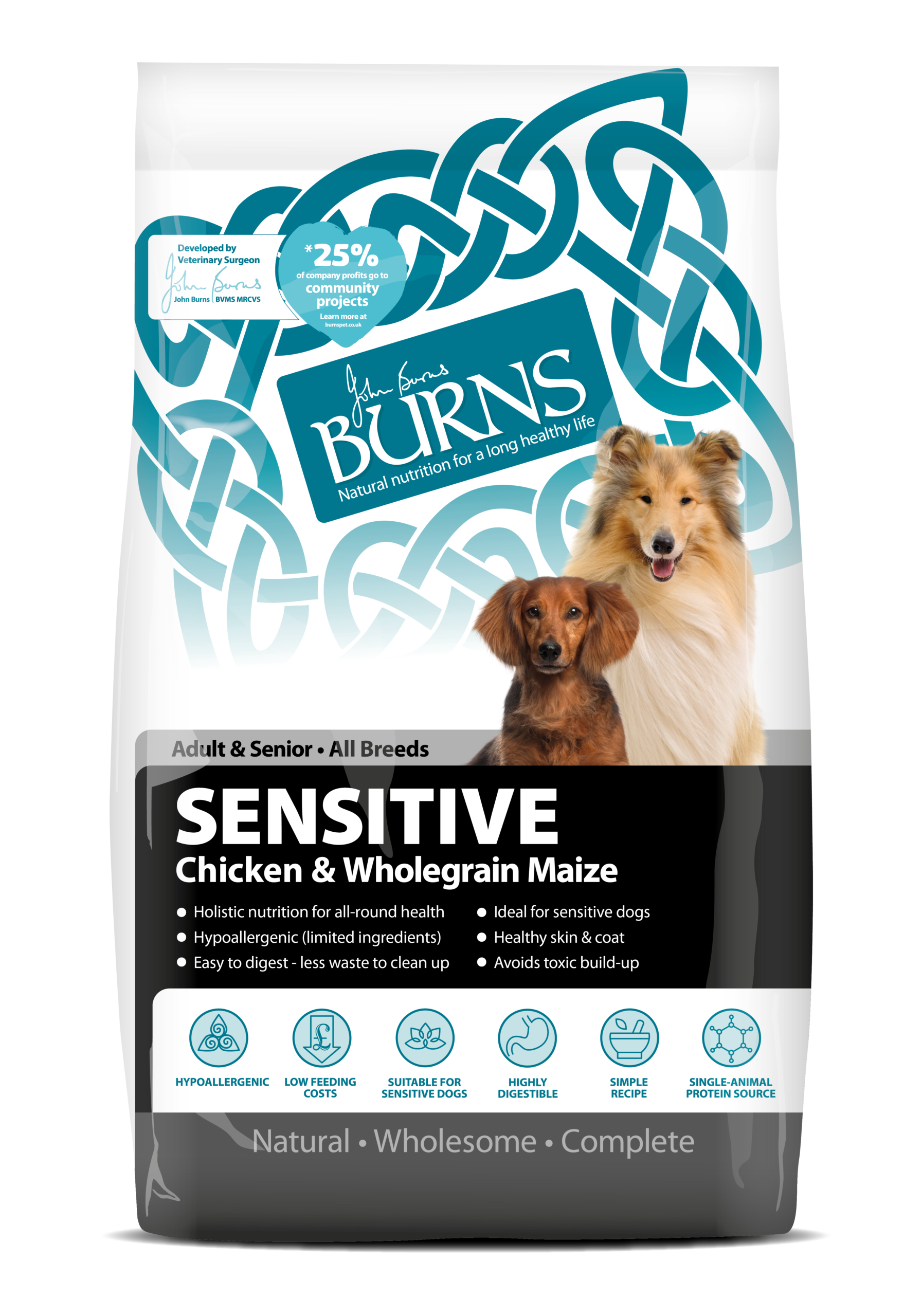 best dog food for sensitive stomach large