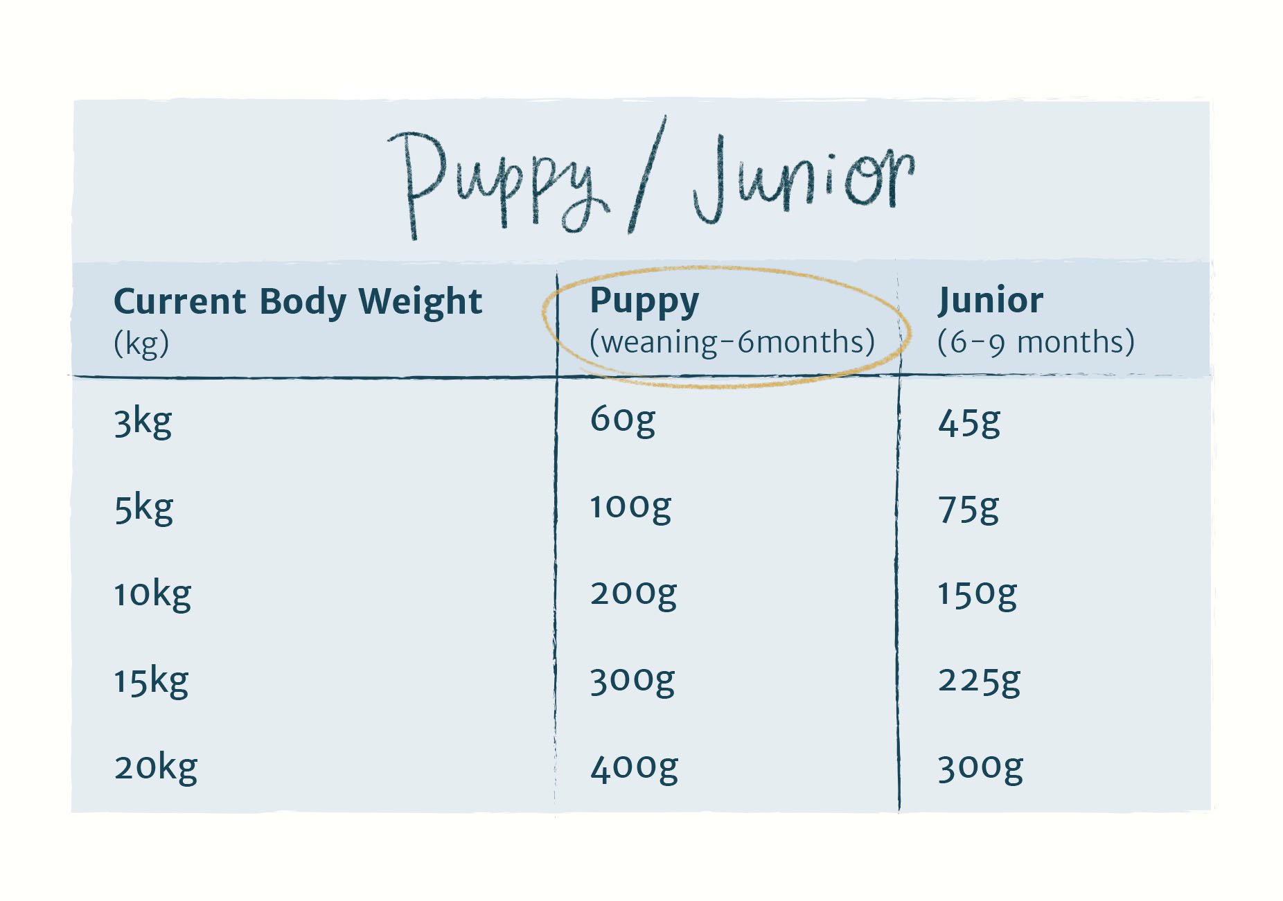 Burns puppy 2025 feeding guide