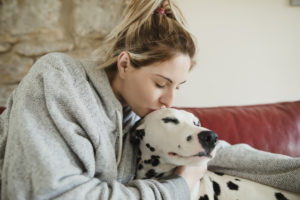 Kissing Pet Dalmatian Dog