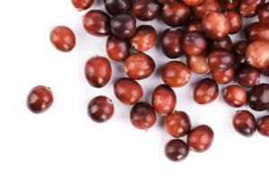fresh red cranberries