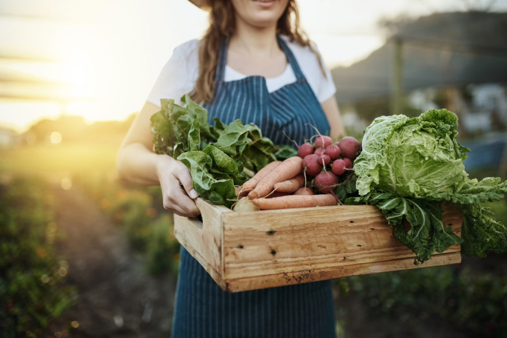 Vegetables