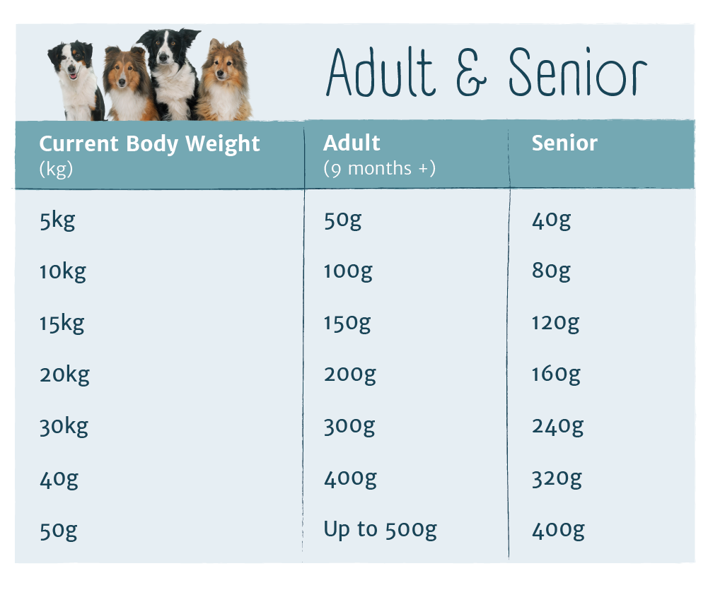 How Much Food To Feed My Dog & Feeding Chart By Weight