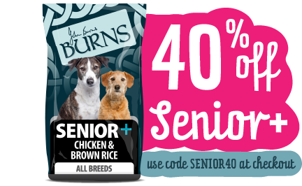 Senior best sale pet rescue