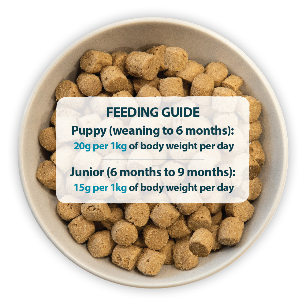 Grain Free for Puppies