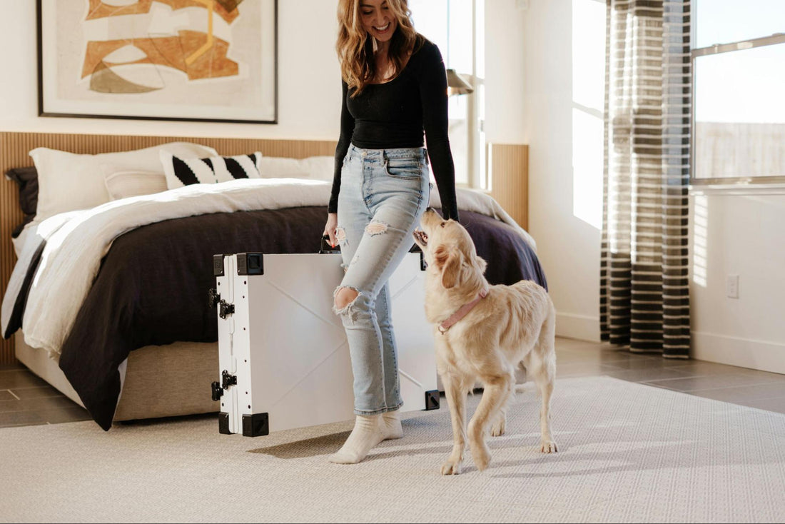 A pet owner with a dog