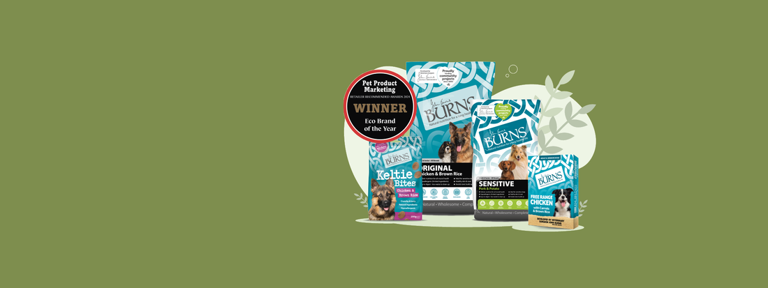 Burns pet food