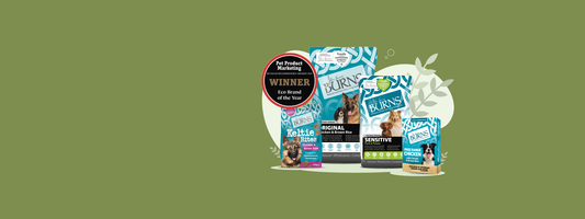 Burns pet food