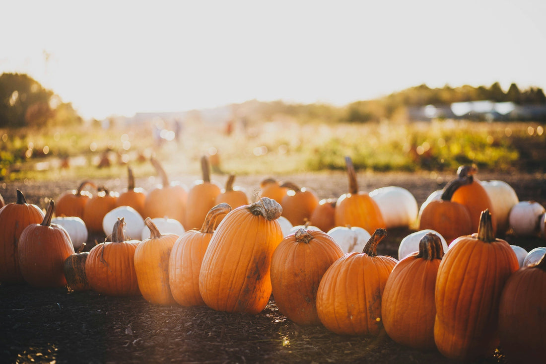 Pumpkins