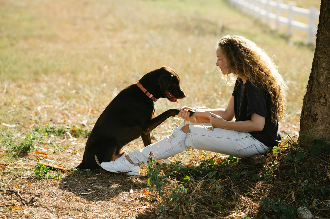 Dog and woman in a park