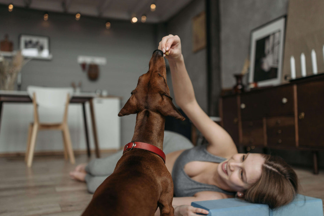 A girl giving her dog a treat