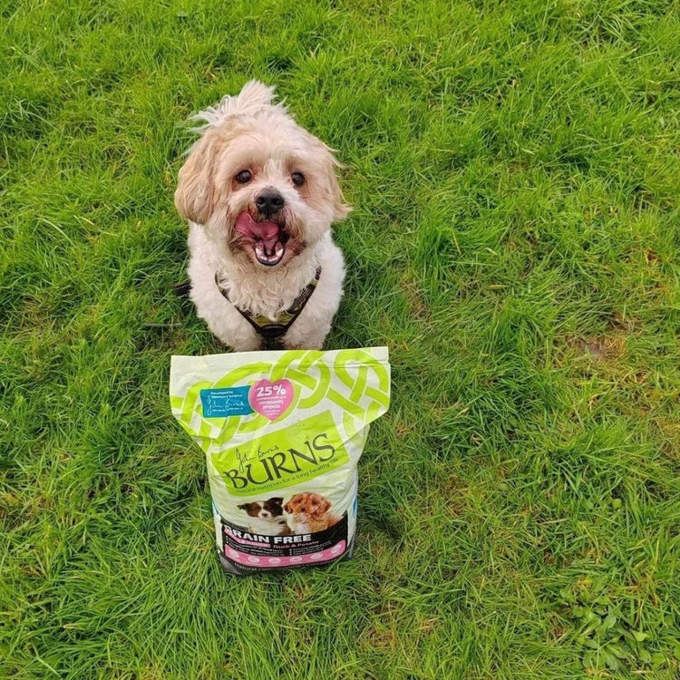 Grain Free Dog Food