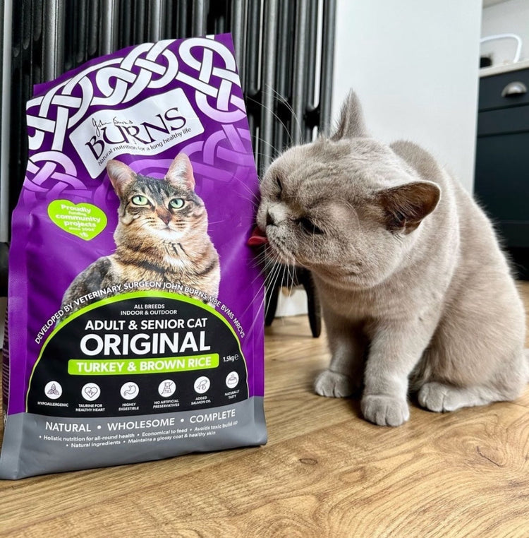Adult Cat Food