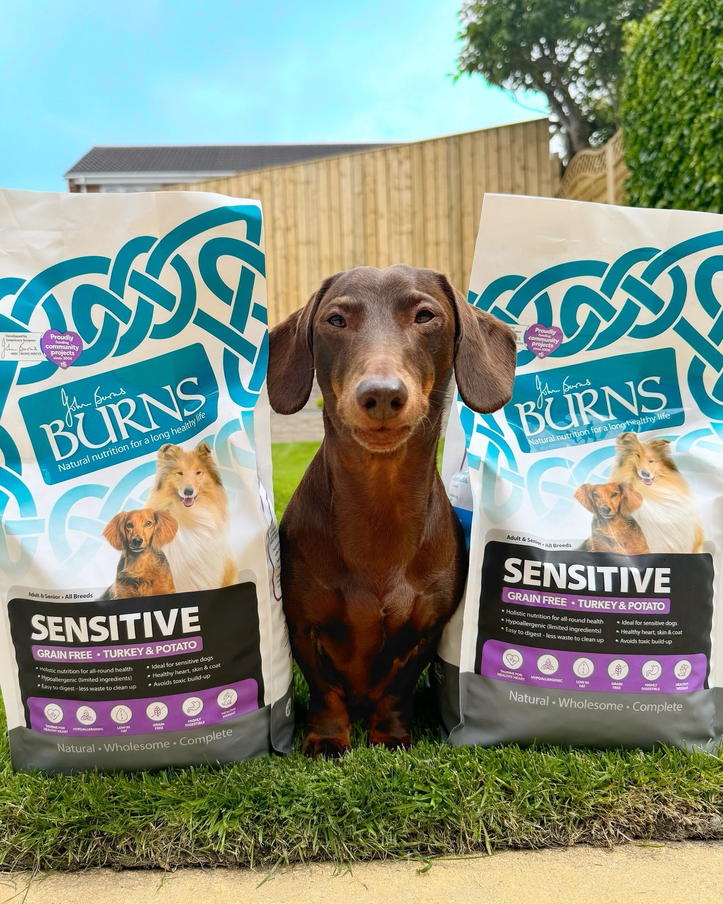 Sensitive Dog Food – Burns Pet Nutrition
