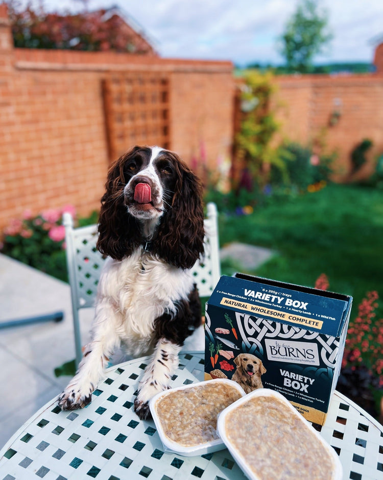 Wet Dog Food