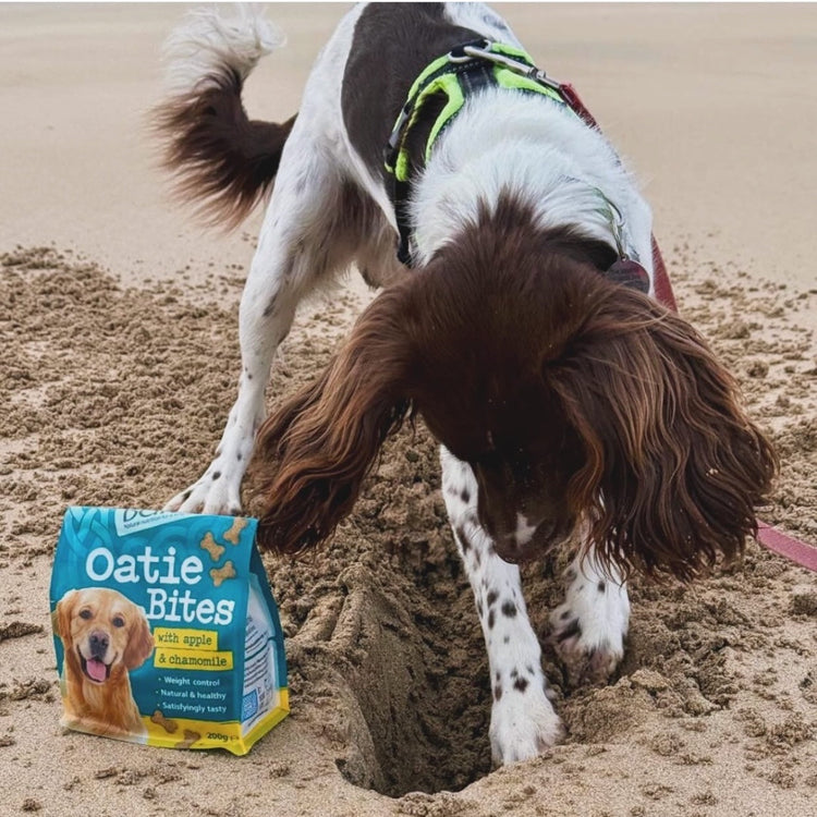 Natural Dog Treats