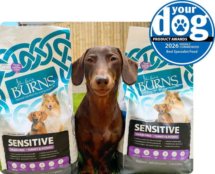 Sensitive Dog Food
