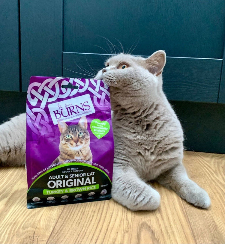 Shop All Cat Food