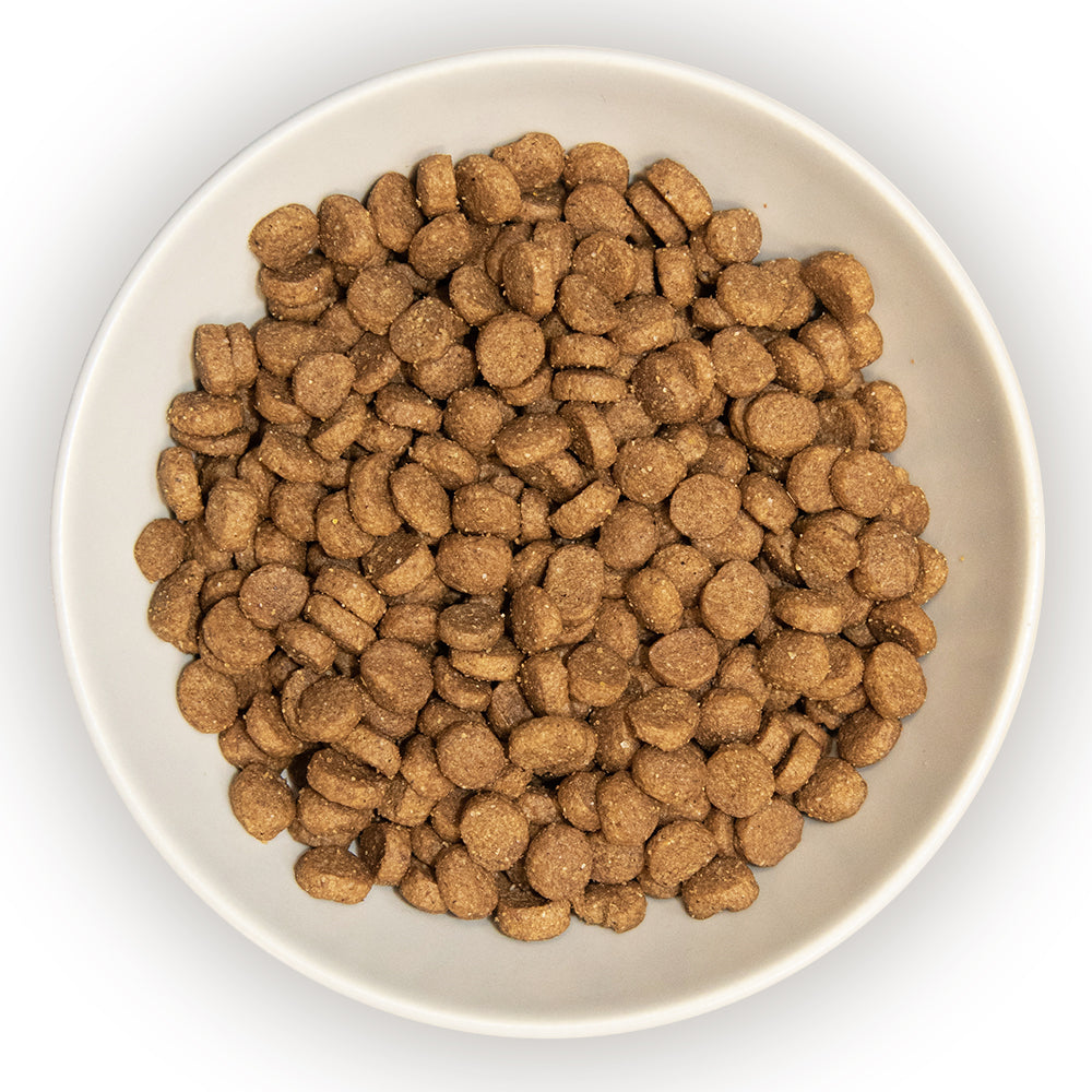 Original Turkey & Brown Rice Cat Food Burns Pet Nutrition