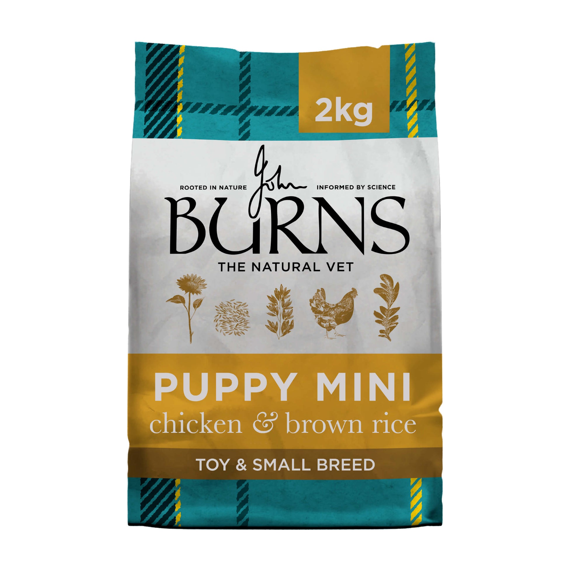 Puppy Mini Toy & Small Breed Chicken & Rice Dry Dog Food 2kg