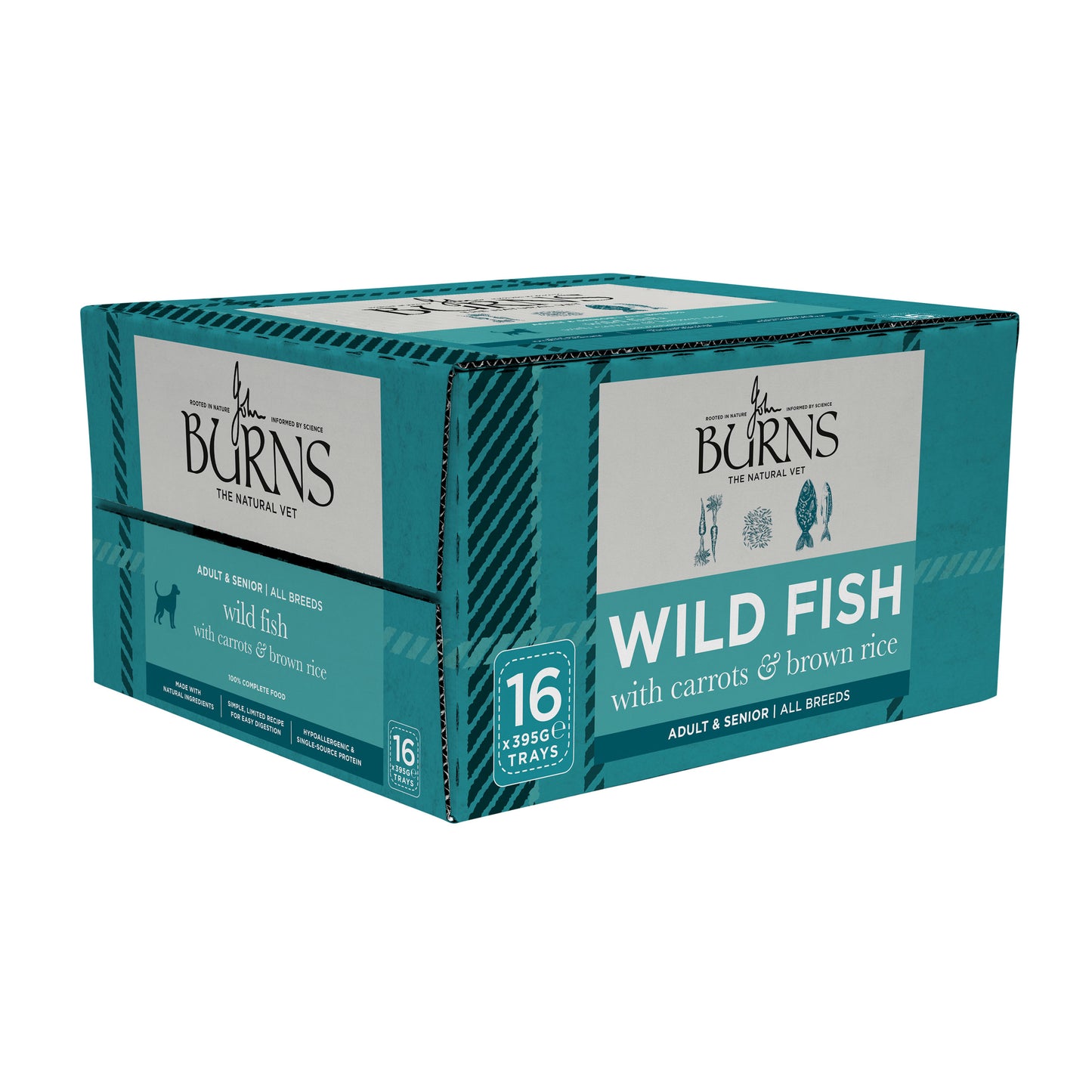 Wild Fish, Carrots & Brown Rice Wet Dog Food Burns Pet Nutrition