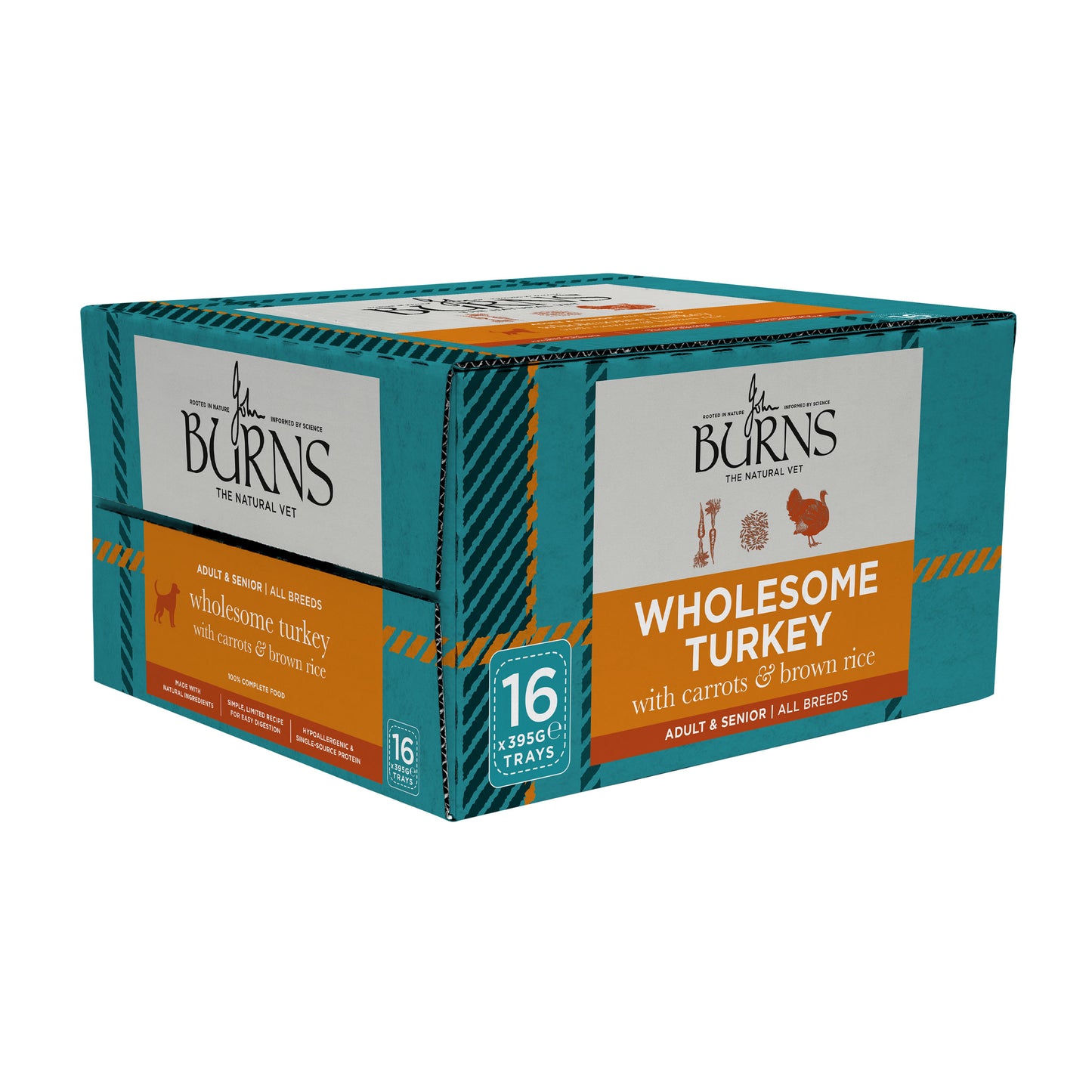 Wholesome Turkey with Carrots & Brown Rice Wet Dog Food Burns Pet Nutrition