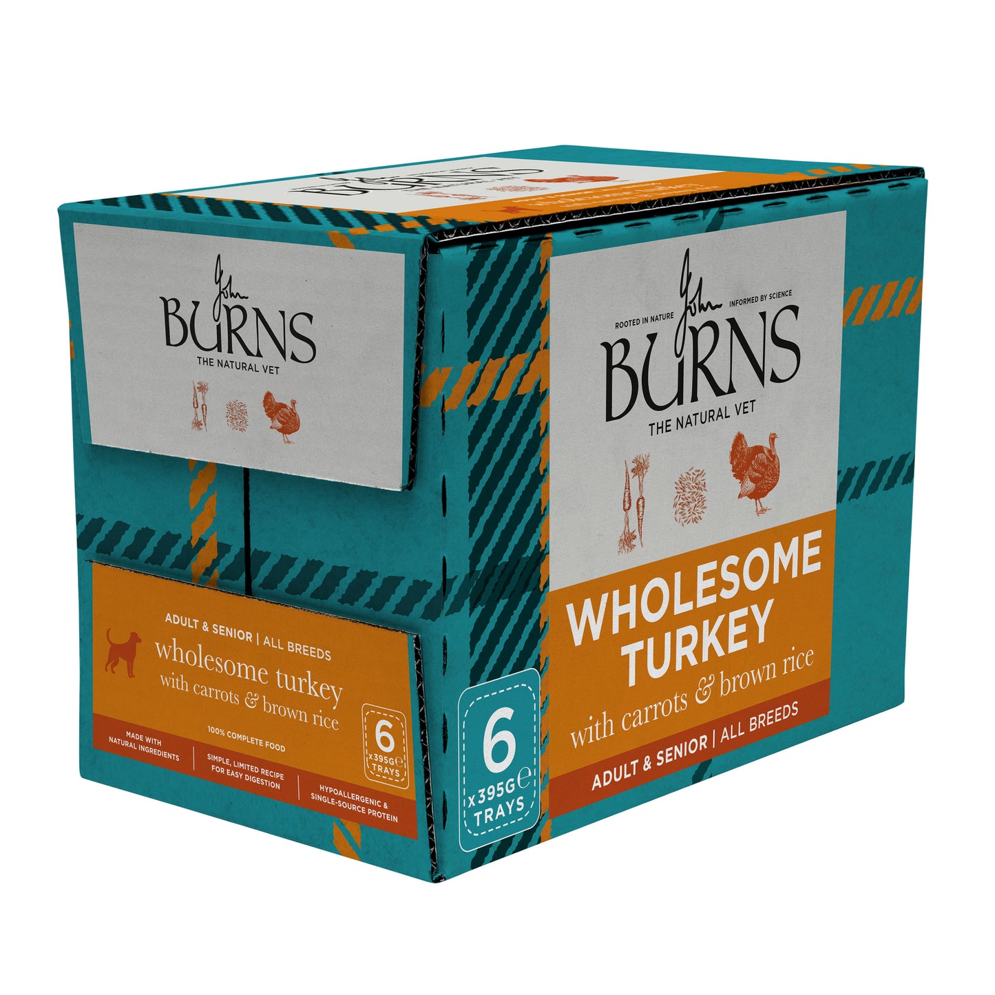 Wholesome Turkey with Carrots & Brown Rice Wet Dog Food Burns Pet Nutrition