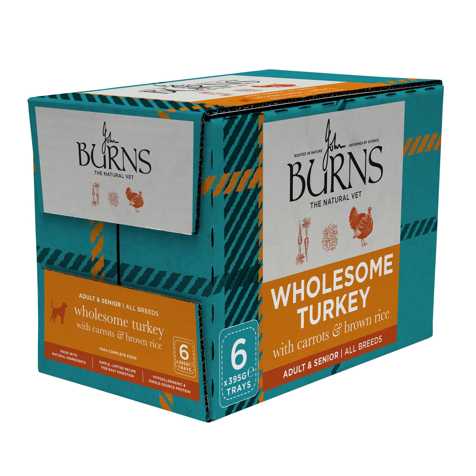 Wholesome Turkey with Carrots & Brown Rice Wet Dog Food Burns Pet Nutrition