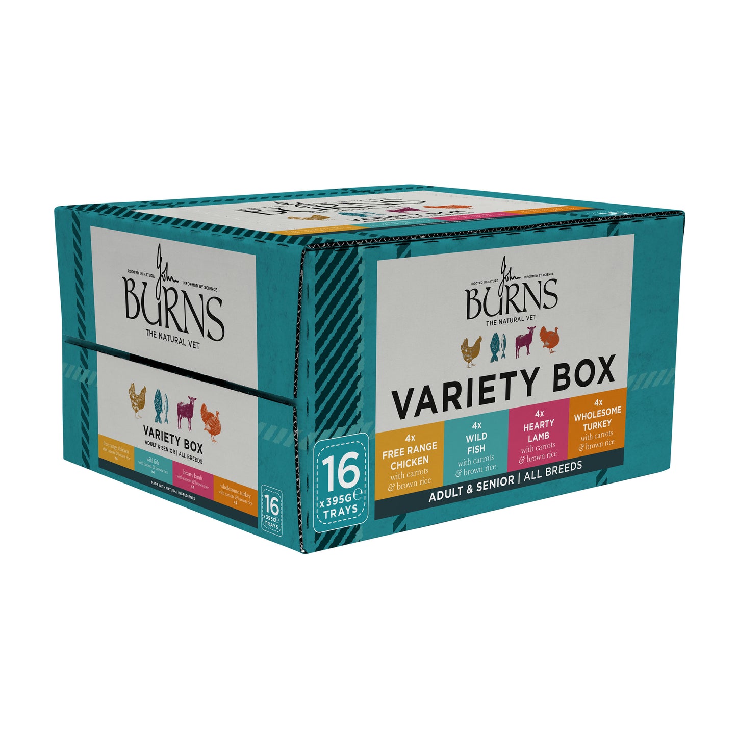 Chicken, Fish, Lamb & Turkey Wet Dog Food Variety Box Burns Pet Nutrition