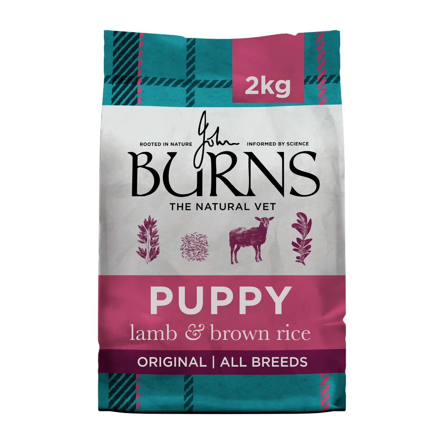 Puppy Original Lamb & Rice Dry Dog Food 2kg